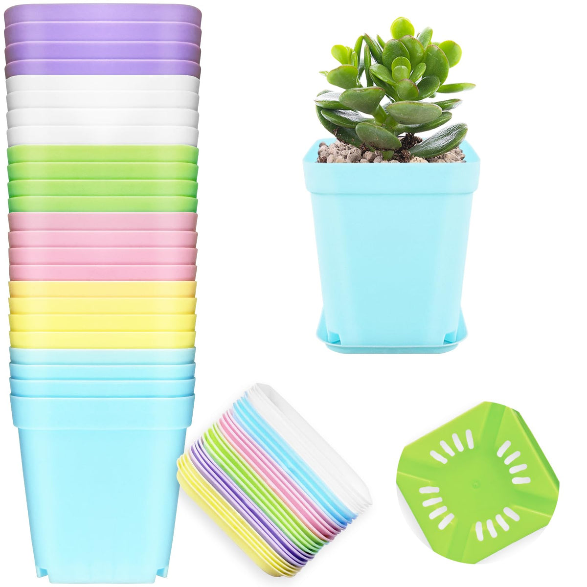 OJYUDD 24-pack colorful square pots packaging for organized plant displays