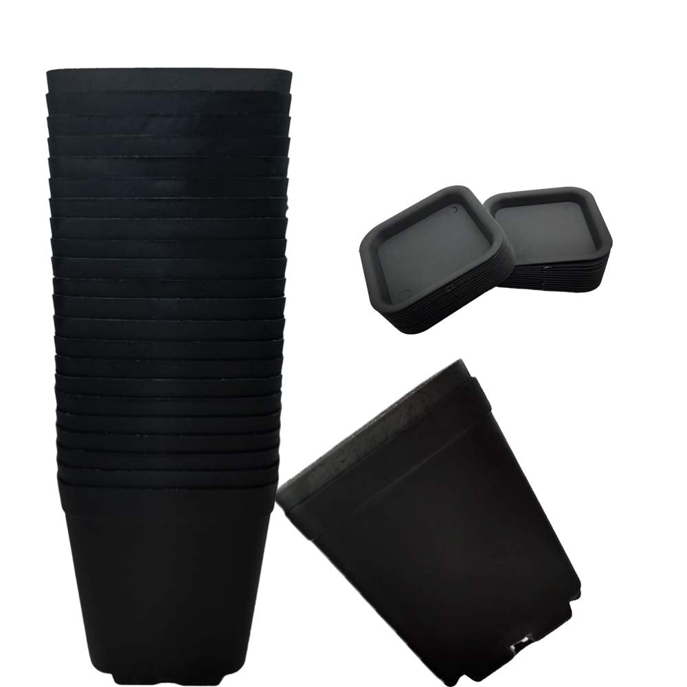 OJYUDD 3-inch black square plant pot with saucer, ideal for succulents on a bright windowsill.
