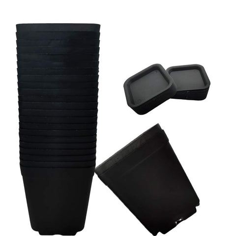 OJYUDD 3-inch black square plant pot with saucer, ideal for succulents on a bright windowsill.