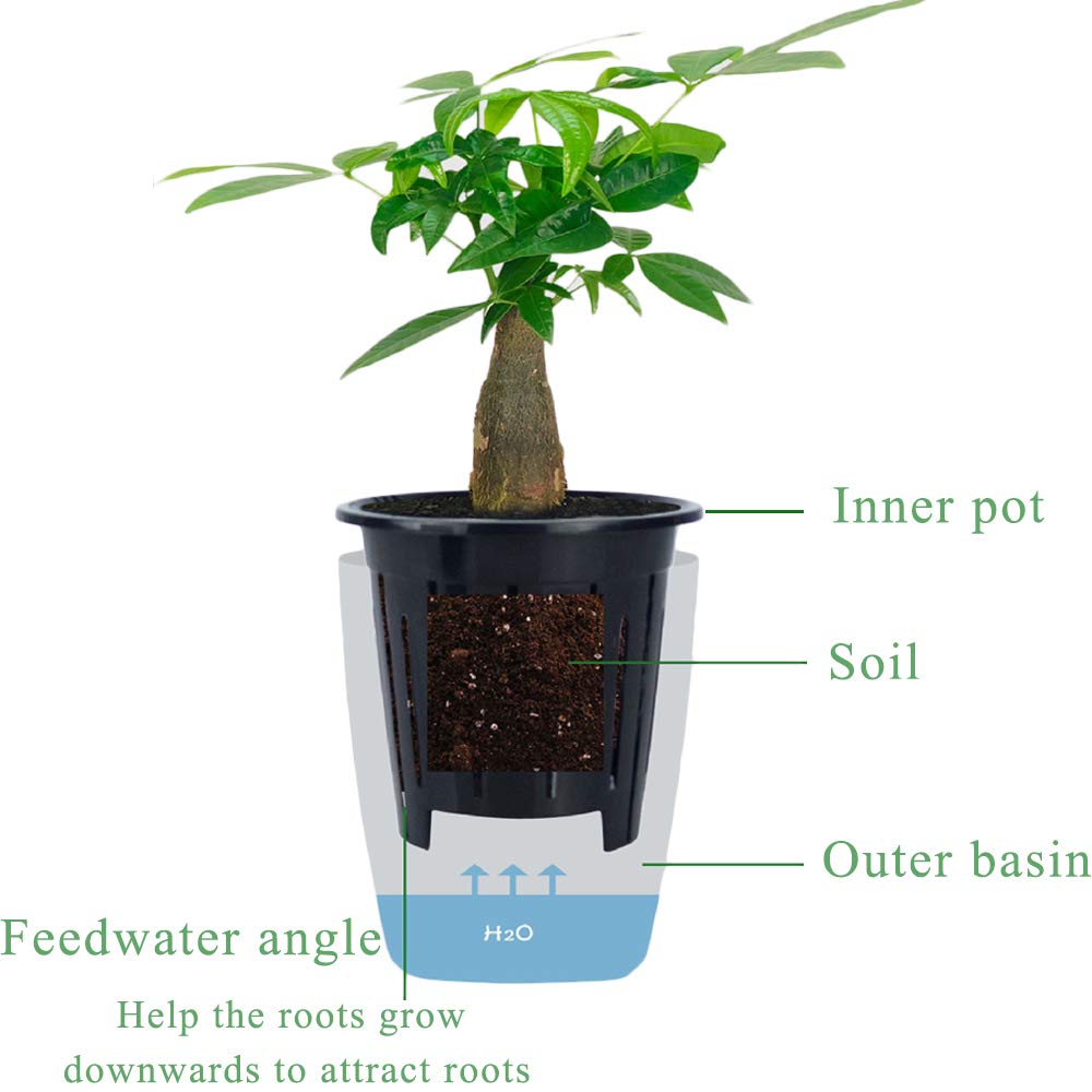 OJYUDD 4-inch planter dimensions highlight compact indoor use.