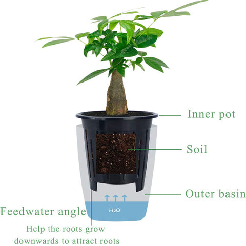 OJYUDD 4-inch planter dimensions highlight compact indoor use.