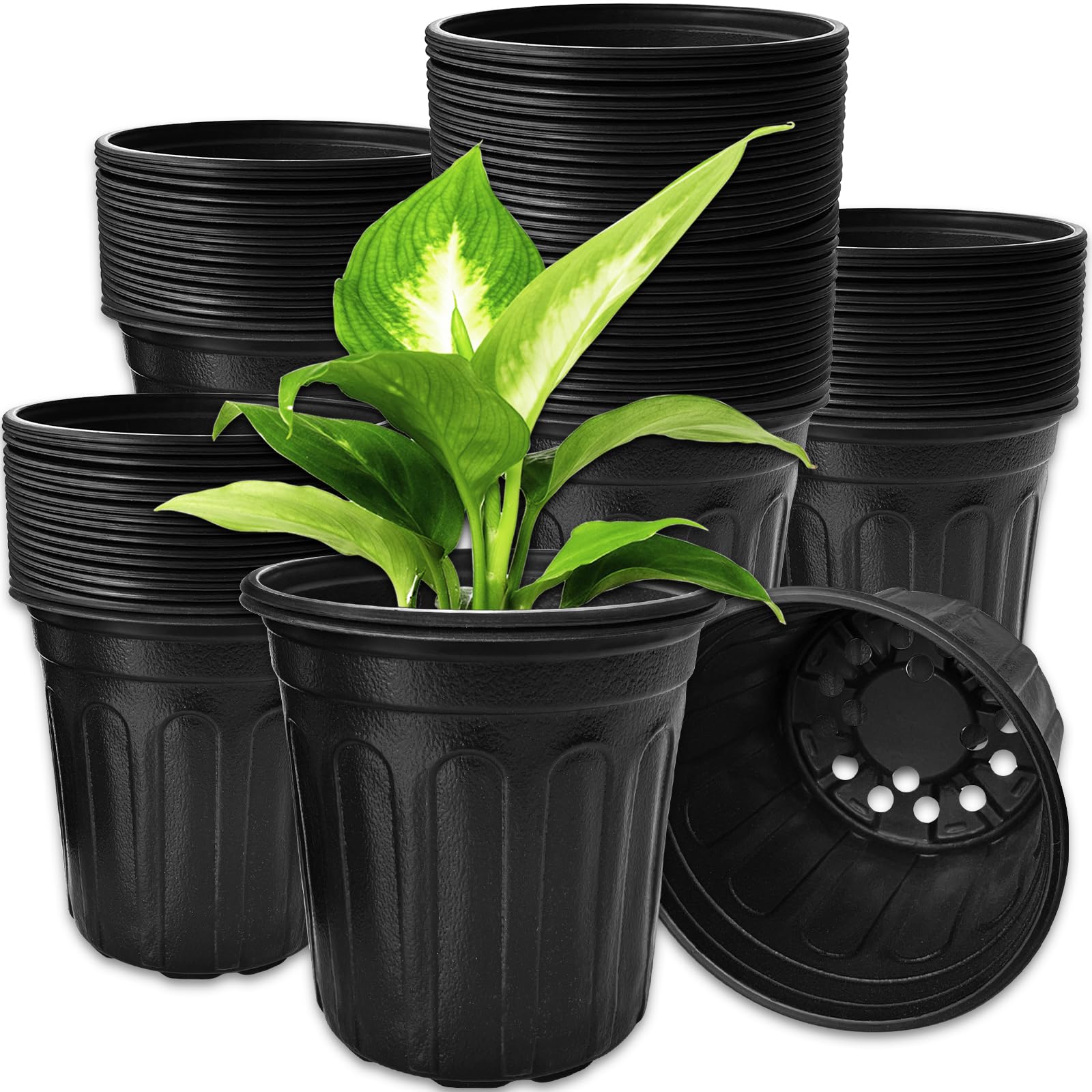 OJYUDD 60-pack 1-gallon nursery pots for flexible seed starting and transplanting