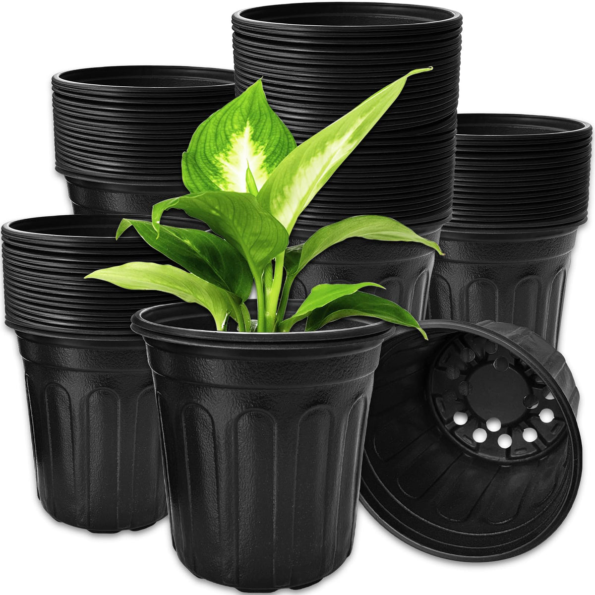 OJYUDD 60-pack 1-gallon nursery pots for flexible seed starting and transplanting