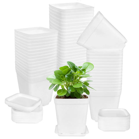 OJYUDD 72-pack white square pots with saucers for tidy seedling display.