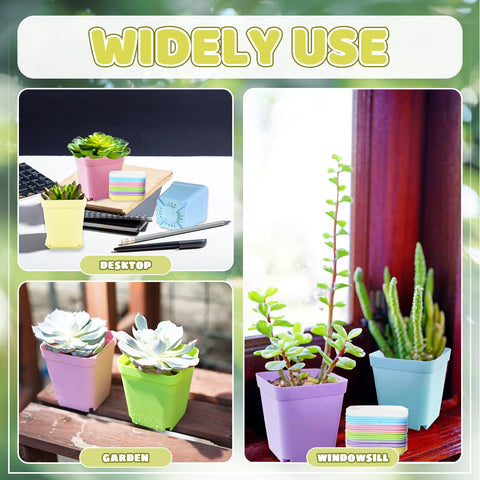OJYUDD color palette supports indoor outdoor and desk decor