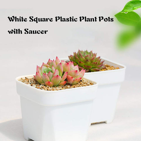 OJYUDD durable plastic square pot supports sturdy seedling growth.