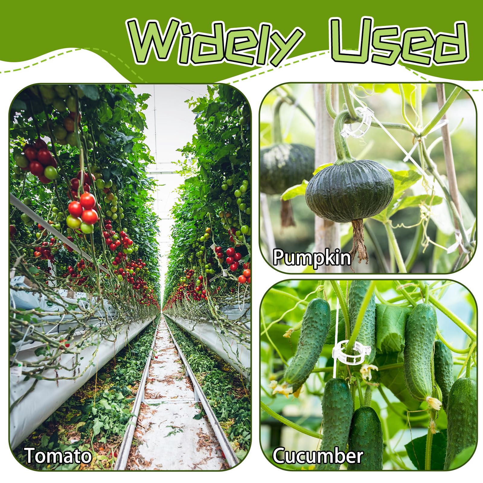 OJYUDD garden setup demonstrates vertical growth in small spaces.