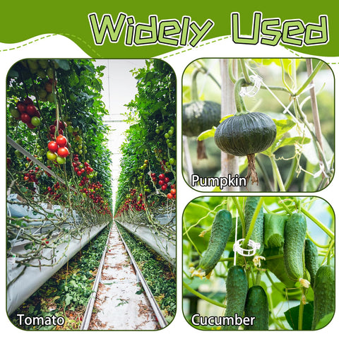 OJYUDD garden setup demonstrates vertical growth in small spaces.