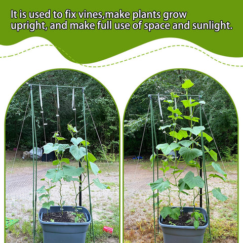 OJYUDD heavy fruit support ideal for tomatoes and cucumbers.
