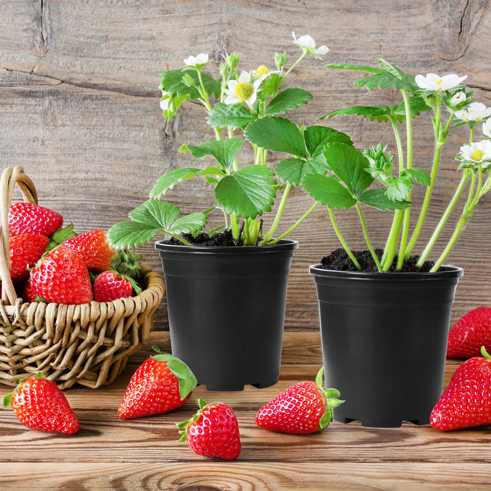OJYUDD indoor and outdoor gardening pots suit courtyards and greenhouses.