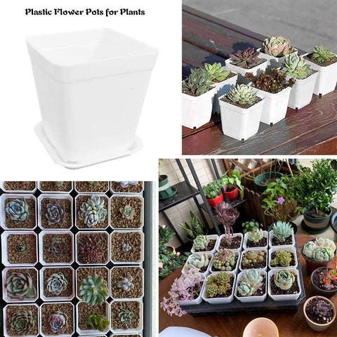 OJYUDD suitable for indoor and outdoor planter setups.