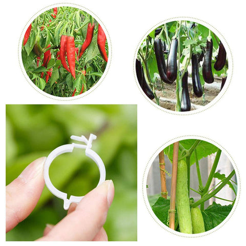 OJYUDD-multi-plant-usage-clips support several plants with adjustable clips.