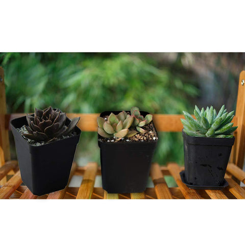 OJYUDD mini pots for succulents, cactus, and herbs brighten office spaces.