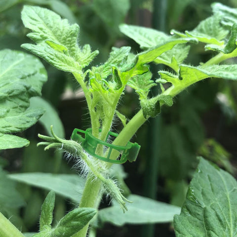 OJYUDD plant support clip on tomato plant for climbing vines