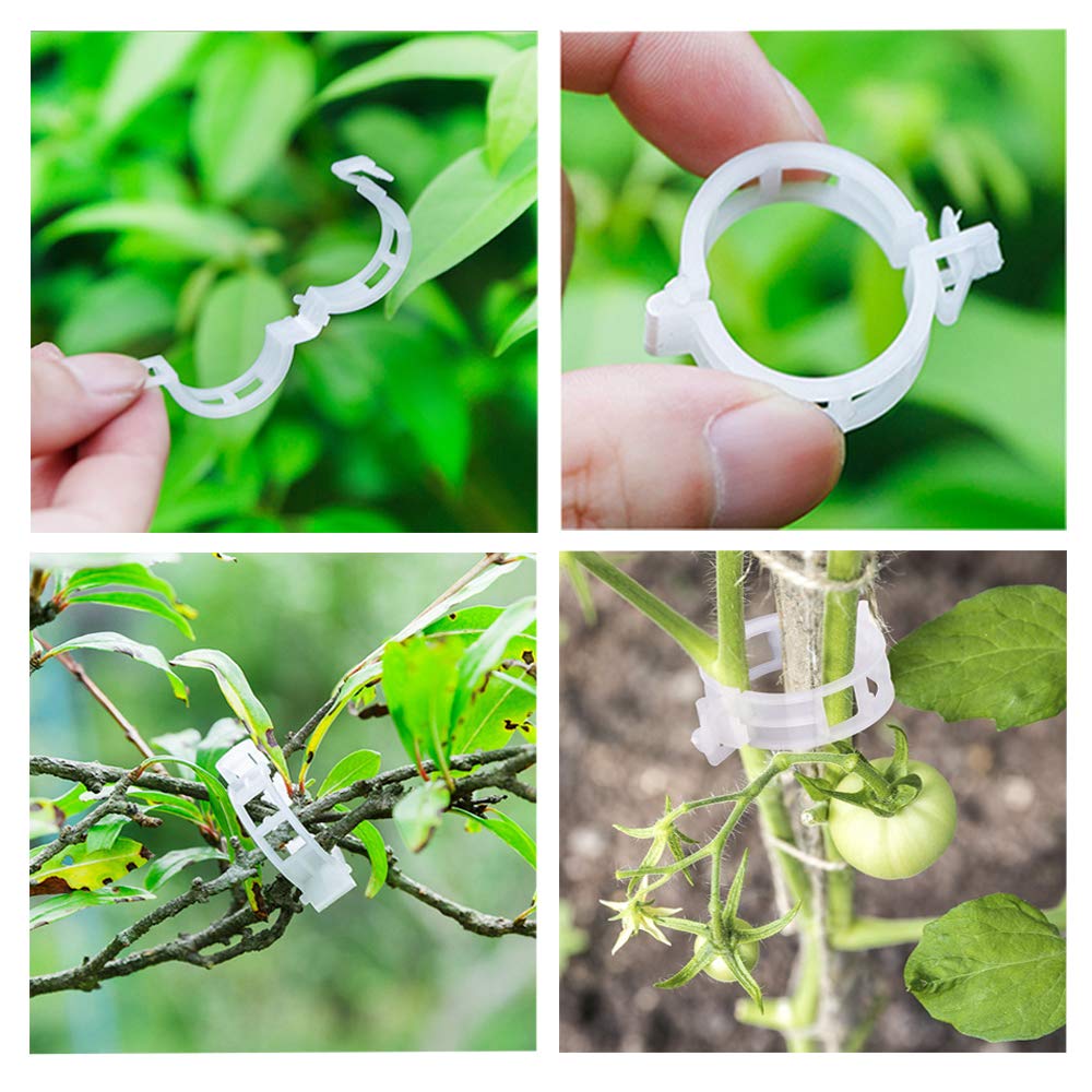 OJYUDD-reusable-trellis-clips reduce plant stress and protect stems.