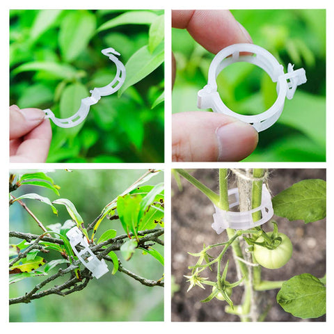 OJYUDD-reusable-trellis-clips reduce plant stress and protect stems.