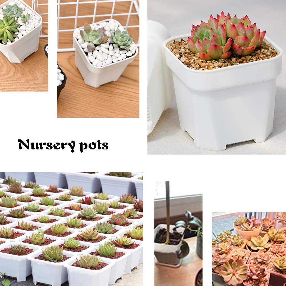 OJYUDD seedling pot with drainage holes promotes better airflow.