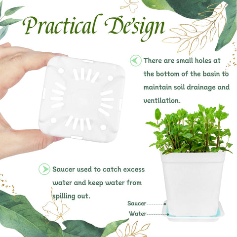 OJYUDD seedling pots bottom holes promote airflow and soil drainage.