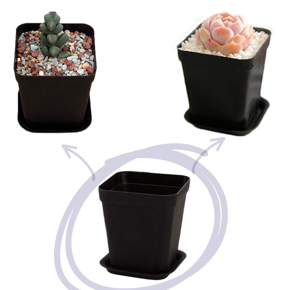 OJYUDD 2.8 inch square pot, ideal for compact windowsill plant displays.