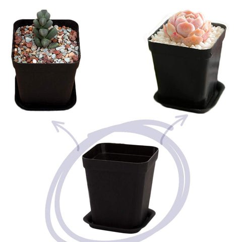 OJYUDD 2.8 inch square pot, ideal for compact windowsill plant displays.