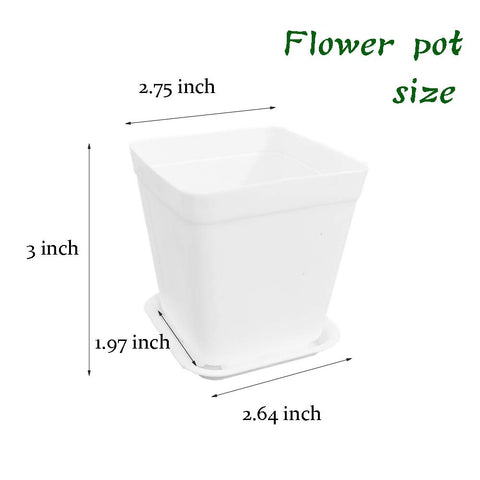 OJYUDD seedling pot with 2.7 inch opening ideal for starting cuttings.