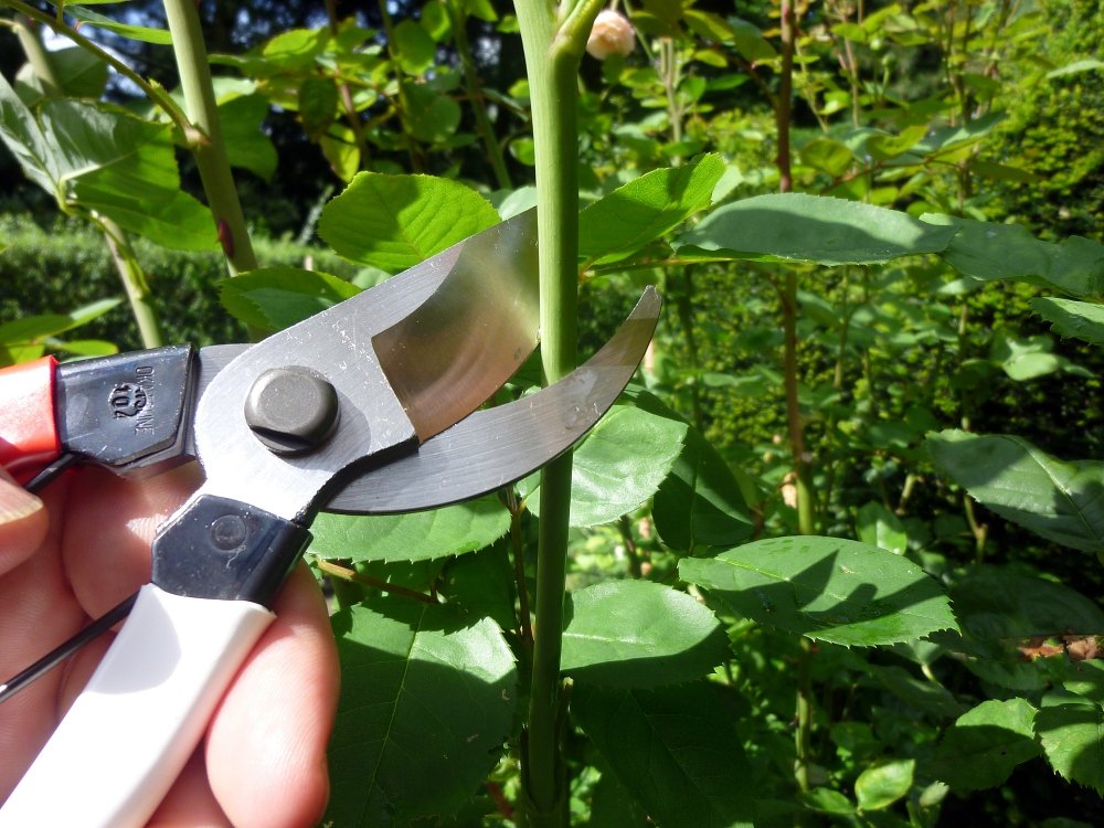 Okatsune 103 bypass pruner compact design fits tool belt or bag