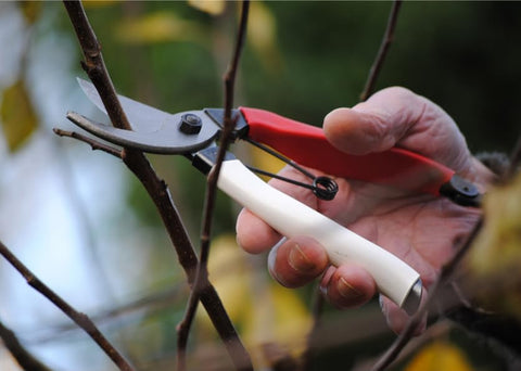 Okatsune 103 bypass pruner ergonomic handle with vinyl coating for non-slip grip