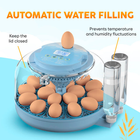 OKKÖBI incubator with built in candling light for embryo checks