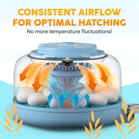 OKKÖBI incubator with a temperature alarm for drift alerts