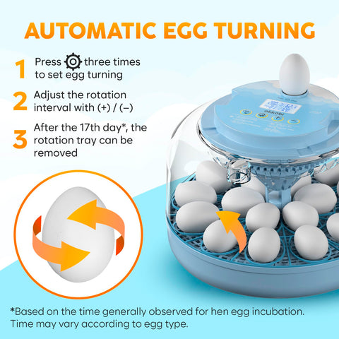 OKKÖBI two trays in the incubator for different egg sizes