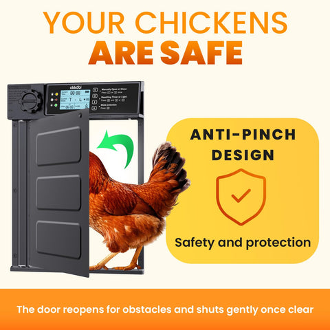 OKKÖBI Door PRO anti-pinch feature protects poultry during auto-close cycles.
