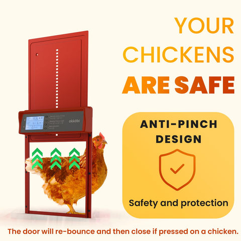 OKKÖBI Chicken coop door remote control for easy access from a distance