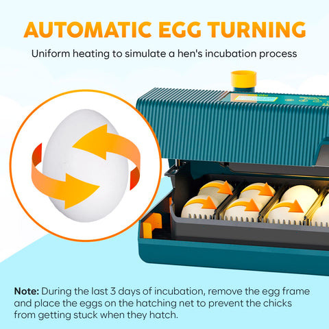 OKKÖBI M10 incubator built-in egg candler for observation.