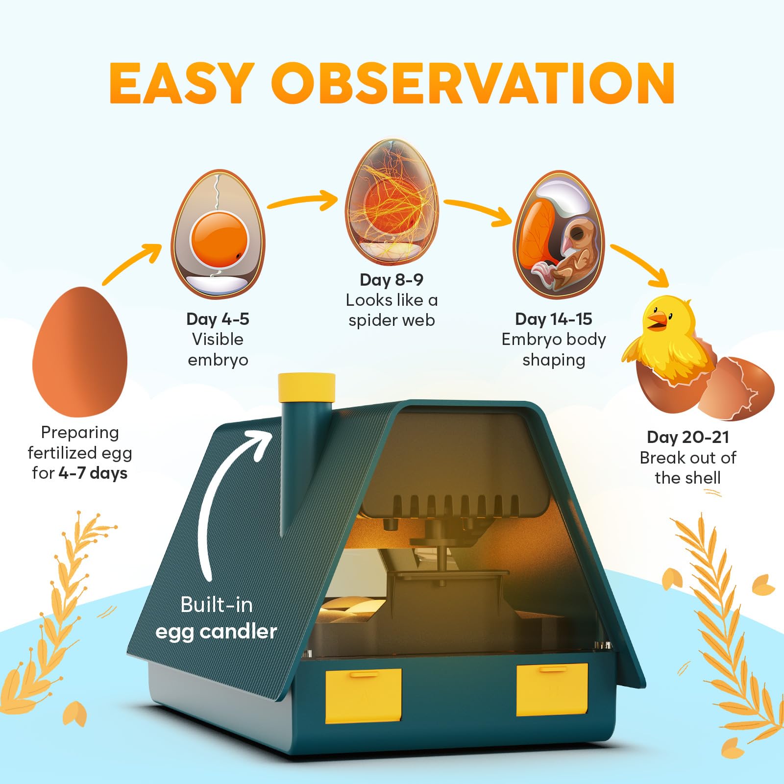OKKÖBI M10 incubator egg turner automatically rotates eggs.