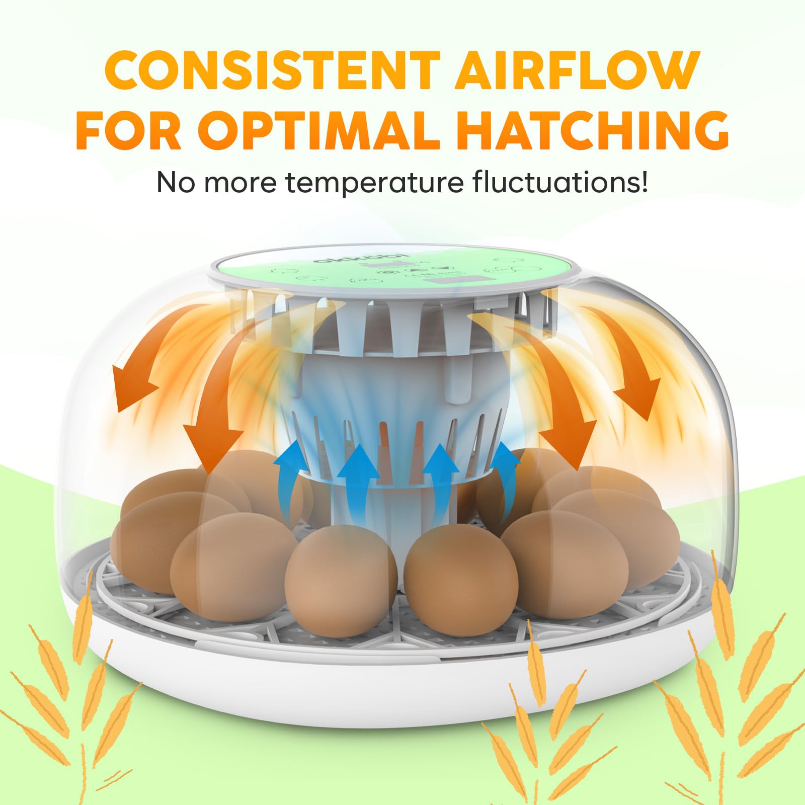 OKKÖBI M12 accommodates 12-24 eggs for versatile poultry hatching.