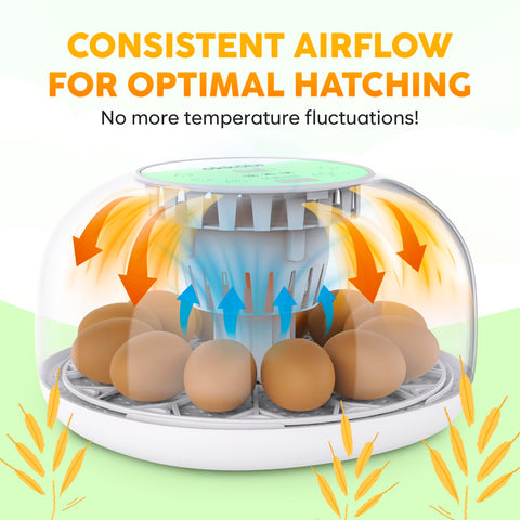 OKKÖBI M12 accommodates 12-24 eggs for versatile poultry hatching.