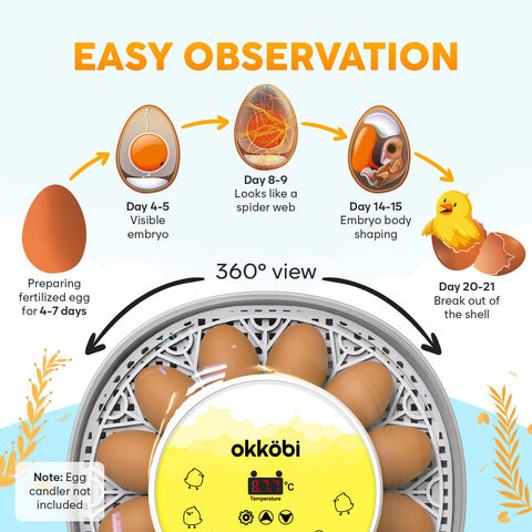 OKKÖBI M12 360-degree lid visibility enables observation without disturbance.
