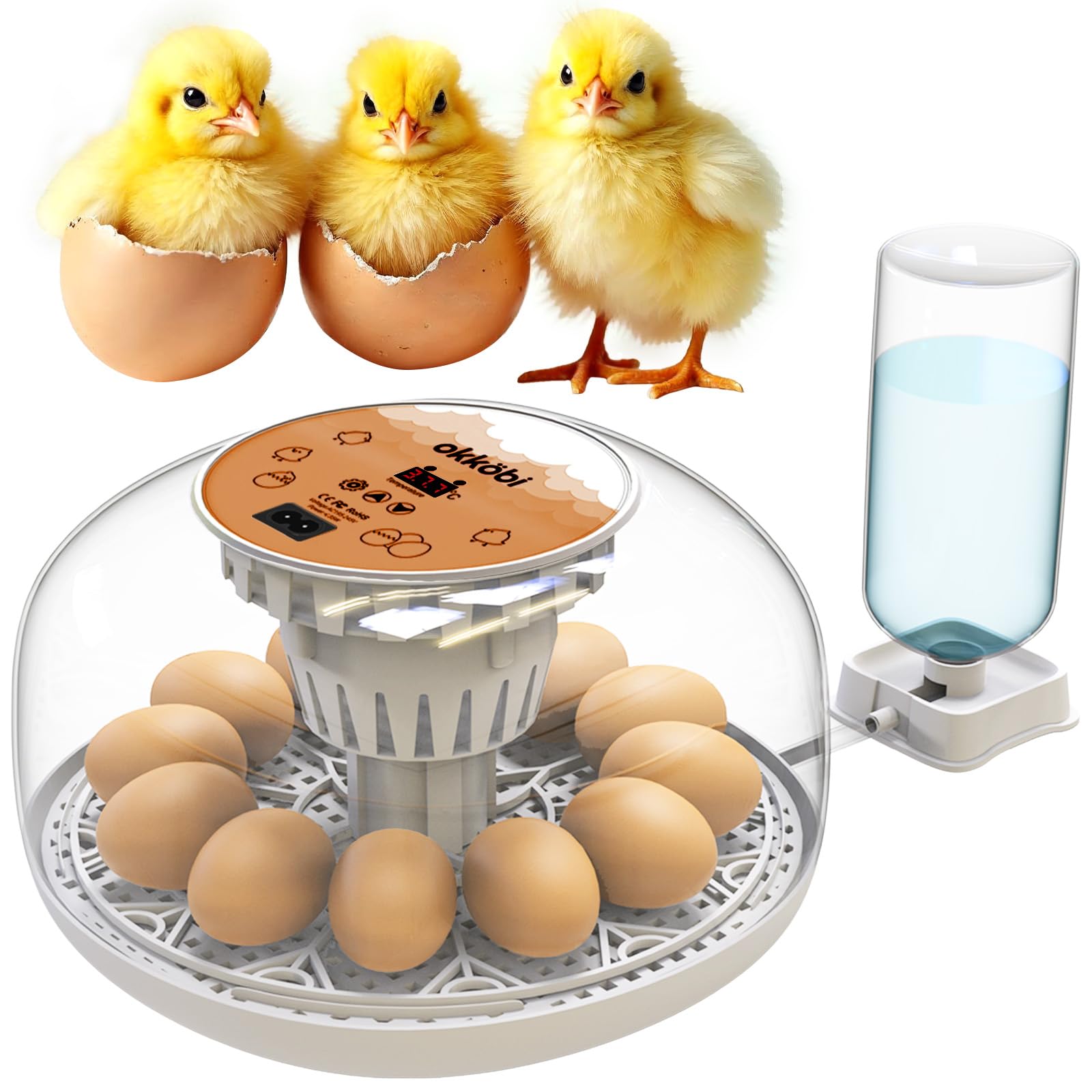 OKKÖBI M12 incubator with 360° lid view for easy monitoring during hatch