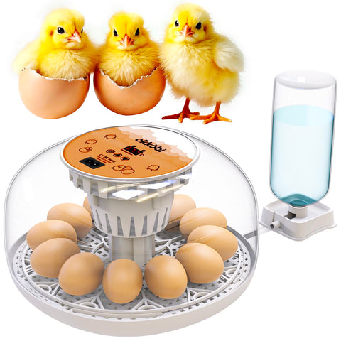 OKKÖBI M12 incubator with 360° lid view for easy monitoring during hatch
