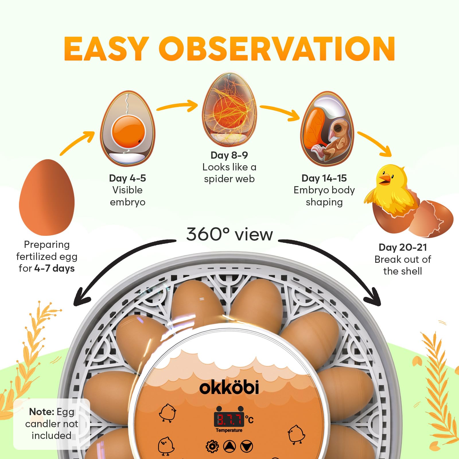 OKKÖBI M12 incubator supports 12 to 24 eggs for diverse poultry
