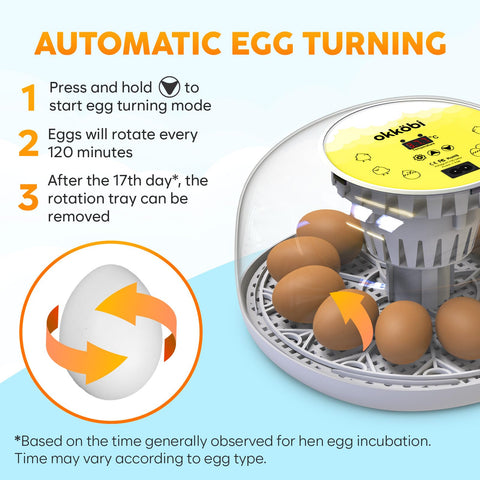 OKKÖBI M12 capacity supports 12–24 eggs for versatile hatching.