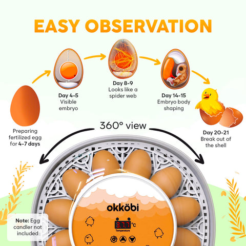 OKKÖBI M12 incubator supports 12 to 24 eggs for diverse poultry