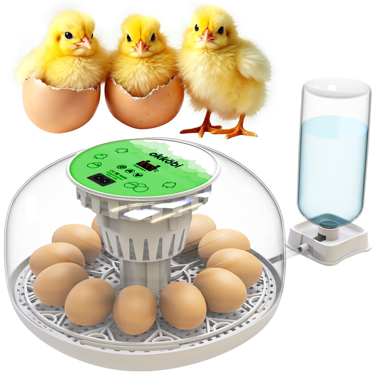 OKKÖBI M12 egg incubator with 360-degree view helps observe hatch progress without opening the lid.