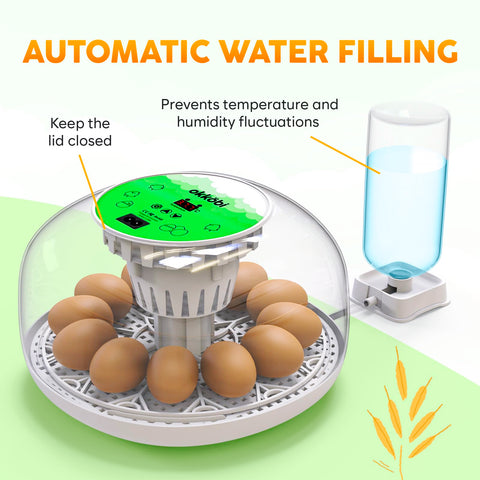 OKKÖBI M12 humidity control maintains stable moisture for consistent hatch conditions.