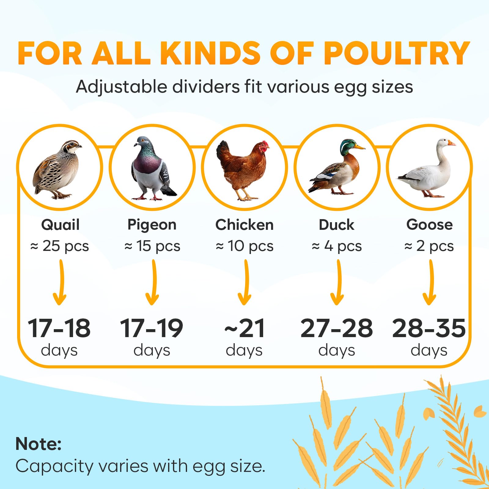 OKKÖBI M12 incubator holds 12 to 24 eggs for versatility