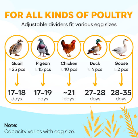 OKKÖBI M12 incubator holds 12 to 24 eggs for versatility