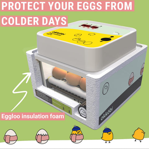 OKKÖBI OBI-12 12-egg tray demonstrates compact, versatile design.