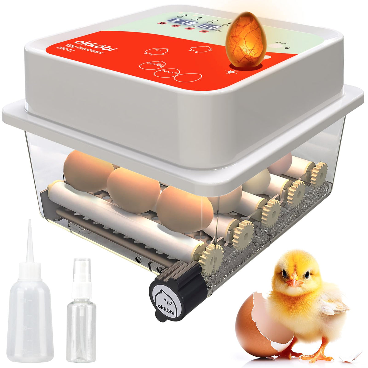 OKKÖBI OBI-12 incubator front view, compact design for home or classroom use.