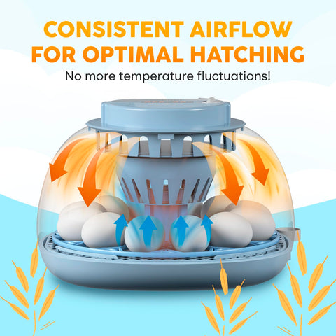 OKKÖBI quiet operation reduces noise during incubation sessions.