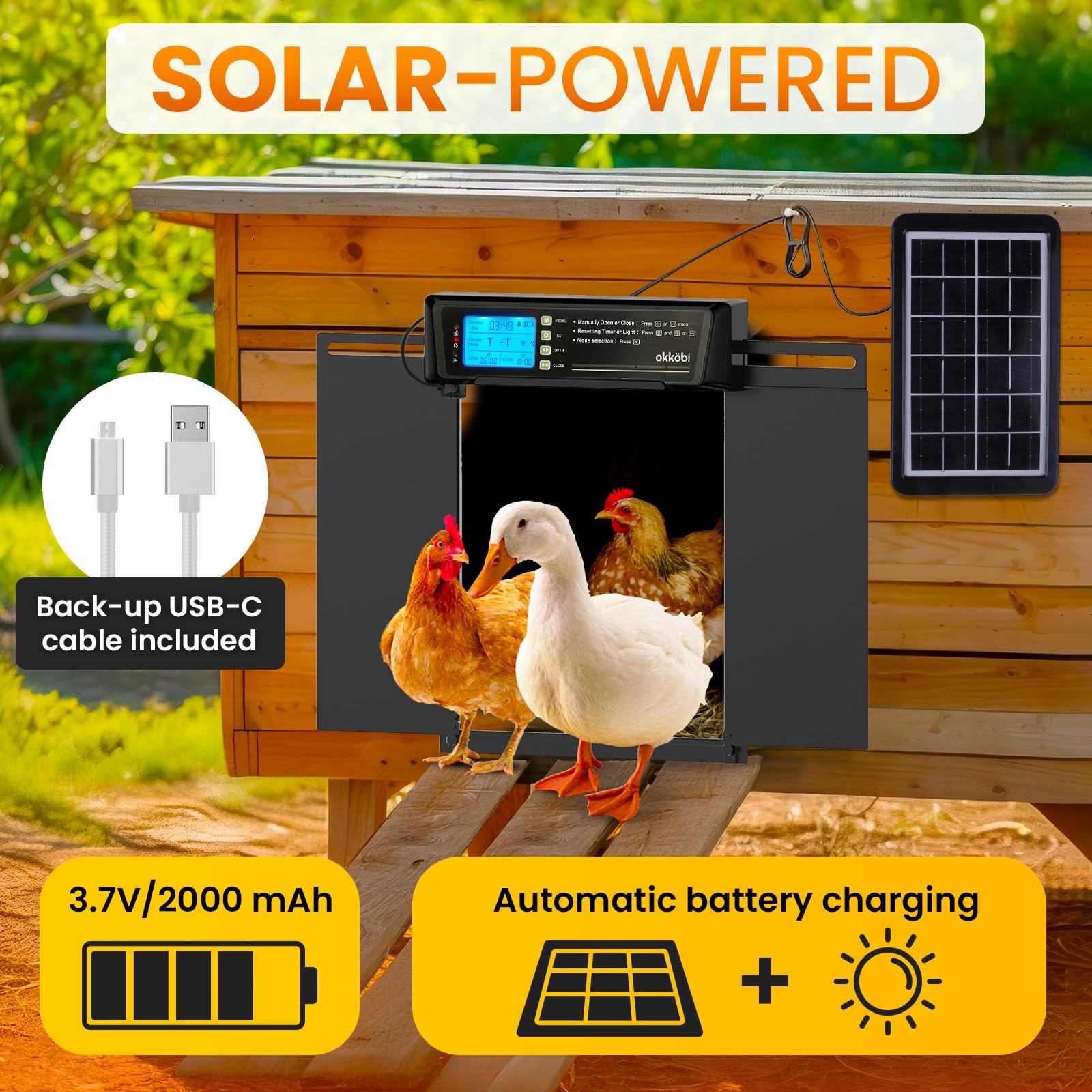OKKÖBI XL door sensor showcases light-based auto opening for dawn and dusk.